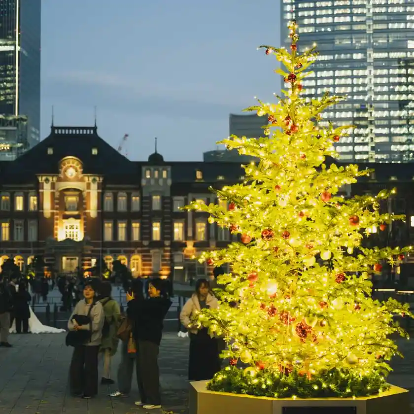 Marunouchi Street Park